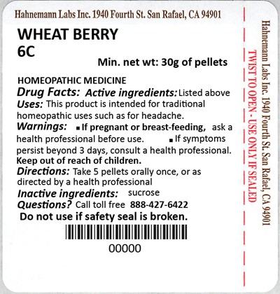 Wheat Berry 6c 30g (Wheat Berry 6c 30g)